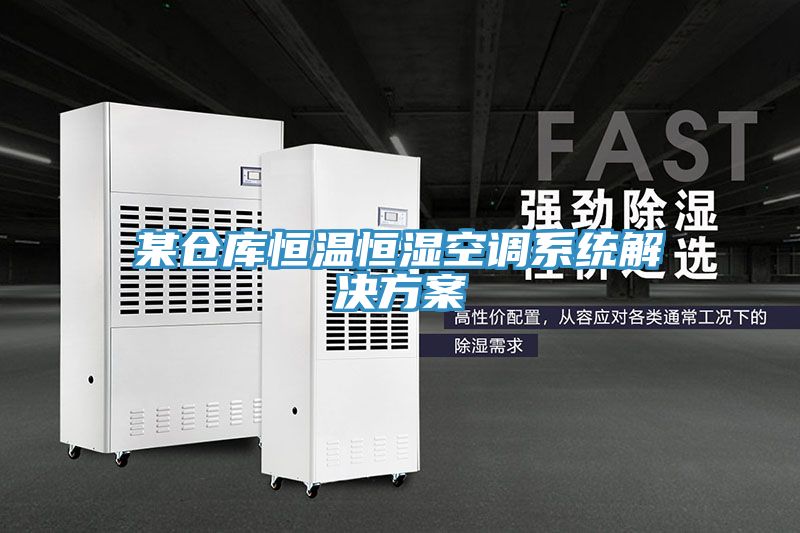 某倉庫恒溫恒濕空調系統解決方案