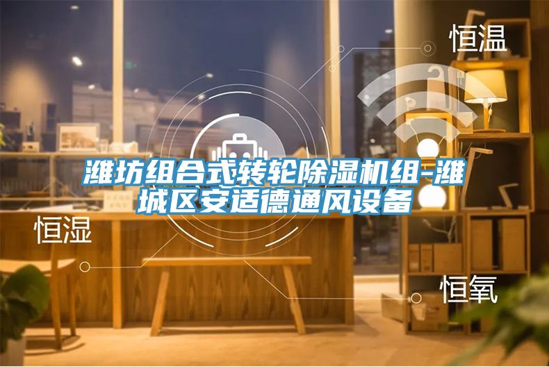 濰坊組合式轉輪除濕機組-濰城區安適德通風設備