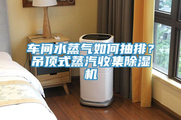 車間水蒸氣如何抽排？吊頂式蒸汽收集除濕機