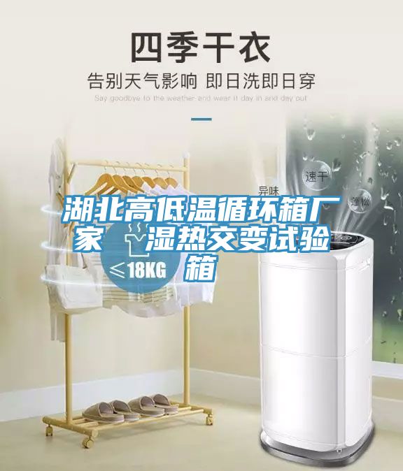 湖北高低溫循環箱廠家  濕熱交變試驗箱