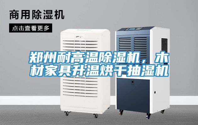 鄭州耐高溫除濕機，木材家具升溫烘干抽濕機