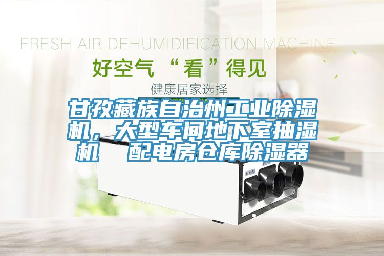 甘孜藏族自治州工業除濕機，大型車間地下室抽濕機  配電房倉庫除濕器