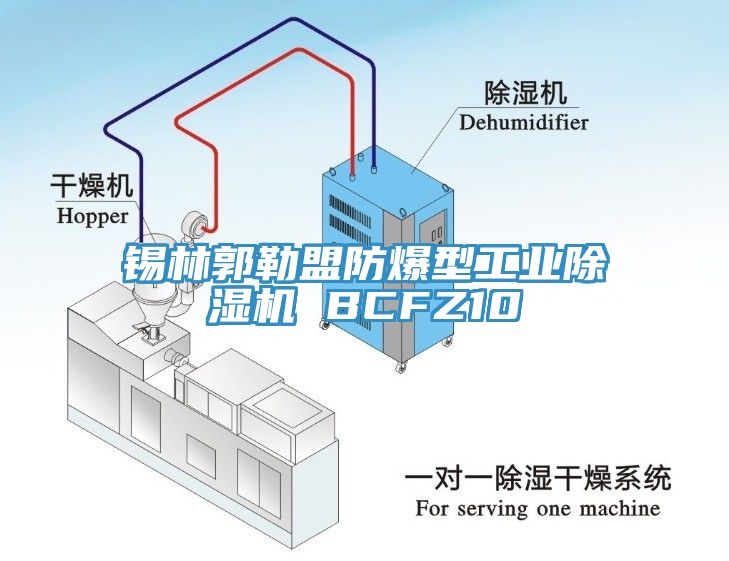 錫林郭勒盟防爆型工業除濕機 BCFZ10