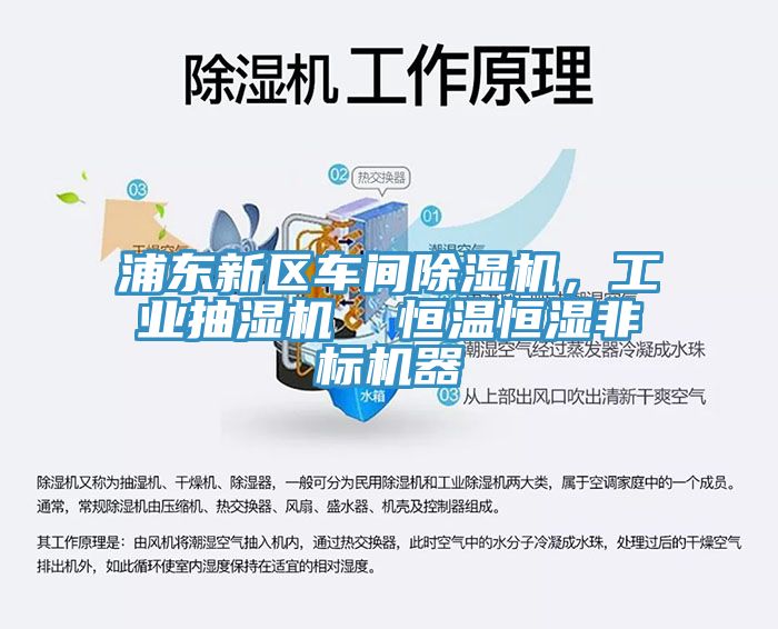 浦東新區車間除濕機，工業抽濕機  恒溫恒濕非標機器
