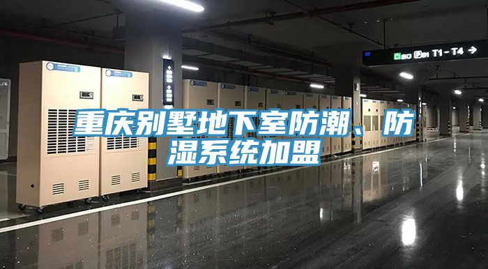 重慶別墅地下室防潮、防濕系統加盟