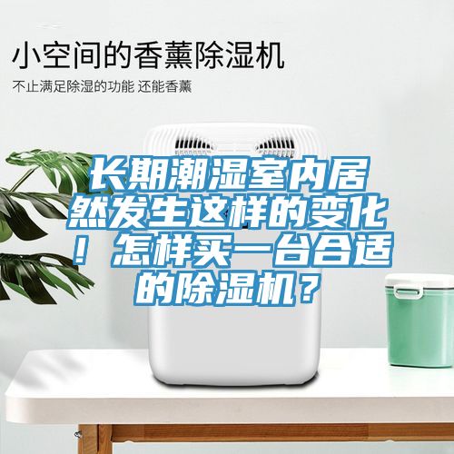 長期潮濕室內居然發生這樣的變化！怎樣買一臺合適的除濕機？