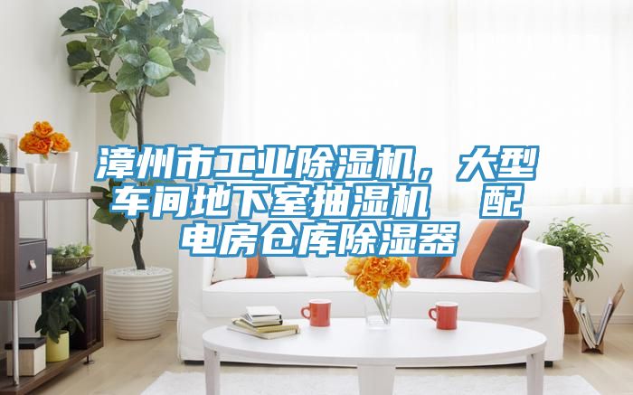 漳州市工業除濕機，大型車間地下室抽濕機  配電房倉庫除濕器