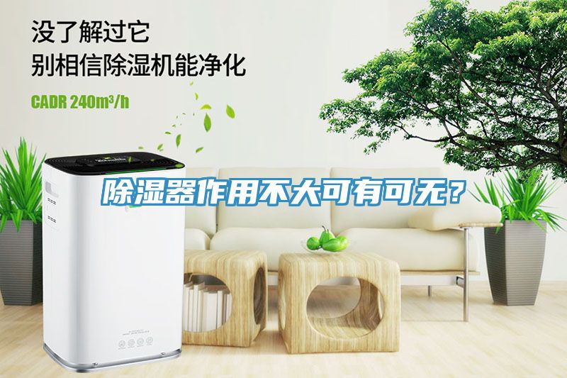 除濕器作用不大可有可無？