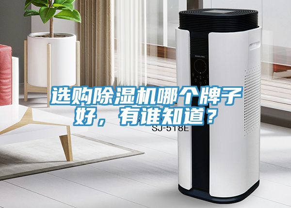 選購除濕機哪個牌子好，有誰知道？
