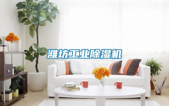 濰坊工業除濕機