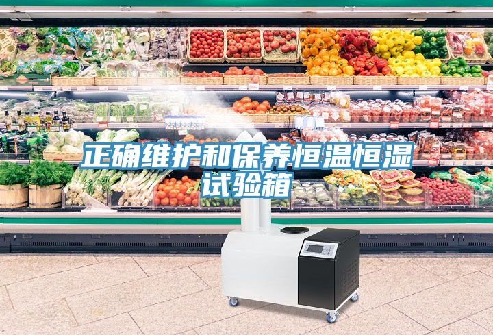 正確維護和保養恒溫恒濕試驗箱