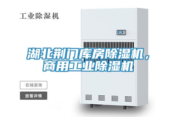 湖北荊門庫房除濕機，商用工業除濕機