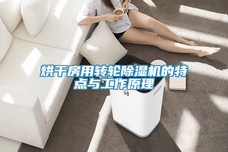 烘干房用轉輪除濕機的特點與工作原理