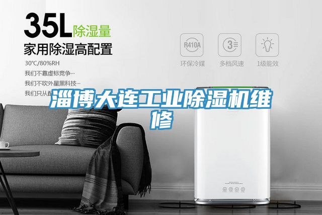 淄博大連工業除濕機維修