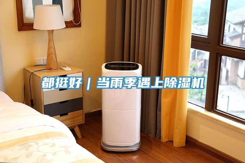 都挺好｜當雨季遇上除濕機