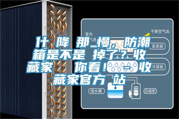 為什麼降濕那麼慢，防潮箱是不是壞掉了？收藏家實測給你看！ - 收藏家官方網站