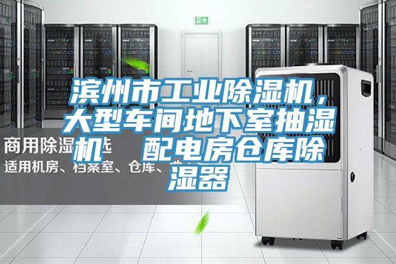 濱州市工業除濕機，大型車間地下室抽濕機  配電房倉庫除濕器