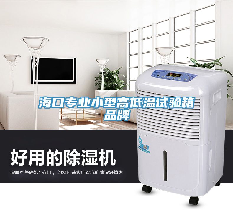 ?？趯I小型高低溫試驗箱品牌