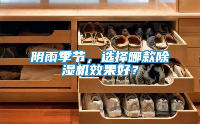 陰雨季節，選擇哪款除濕機效果好？