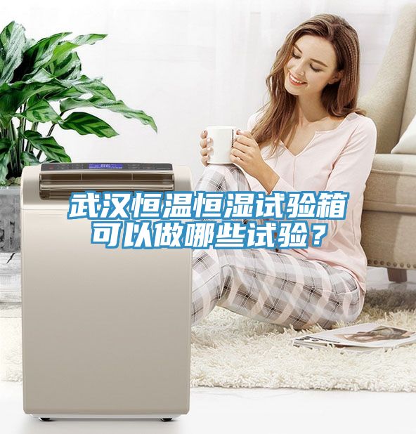 武漢恒溫恒濕試驗箱可以做哪些試驗？