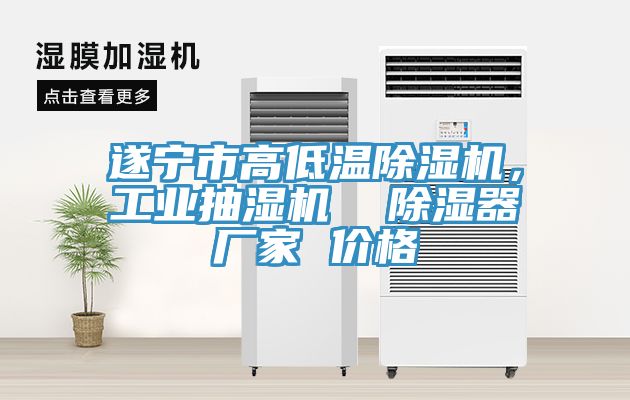 遂寧市高低溫除濕機，工業抽濕機  除濕器廠家 價格