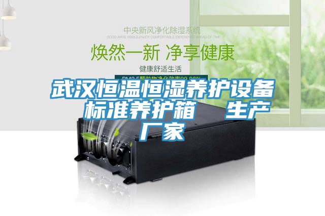 武漢恒溫恒濕養護設備  標準養護箱  生產廠家