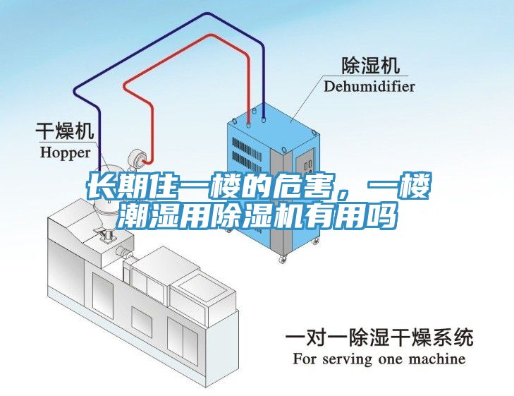 長期住一樓的危害，一樓潮濕用除濕機有用嗎