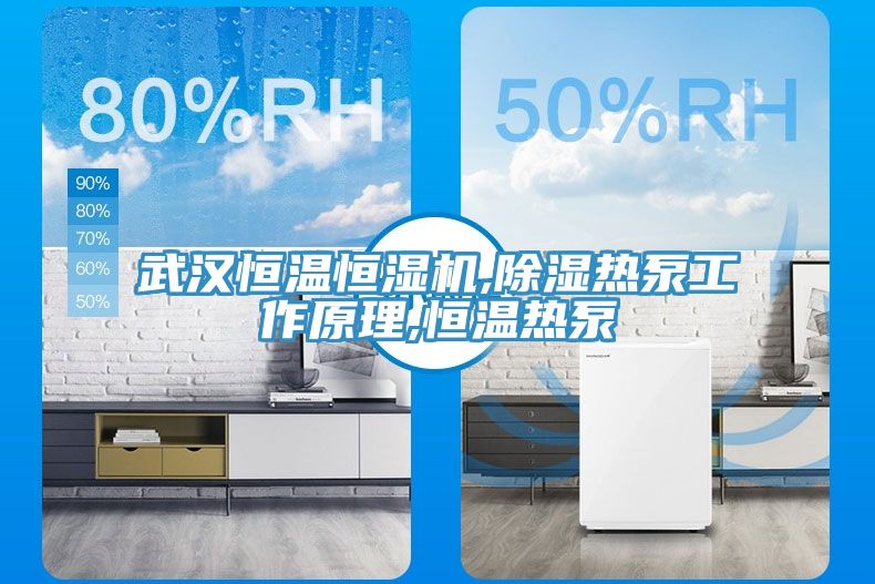 武漢恒溫恒濕機,除濕熱泵工作原理,恒溫熱泵