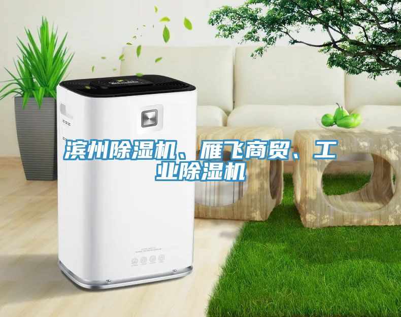 濱州除濕機、雁飛商貿、工業除濕機