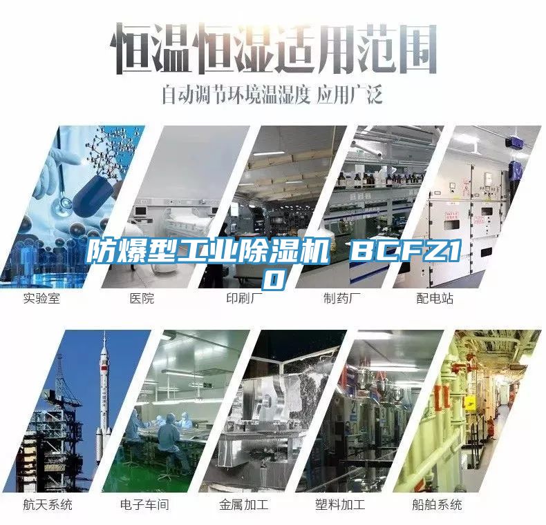 防爆型工業除濕機 BCFZ10