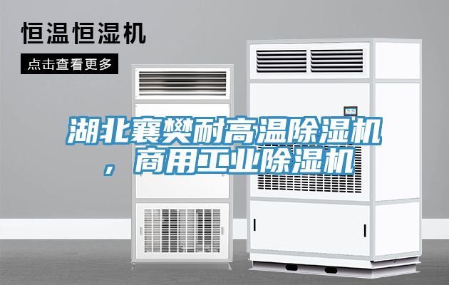 湖北襄樊耐高溫除濕機，商用工業除濕機