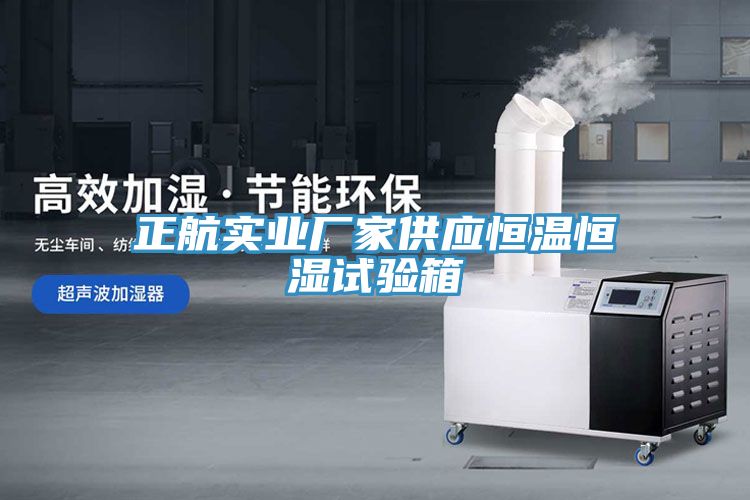 正航實業廠家供應恒溫恒濕試驗箱