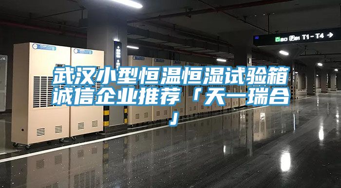 武漢小型恒溫恒濕試驗箱誠信企業推薦「天一瑞合」