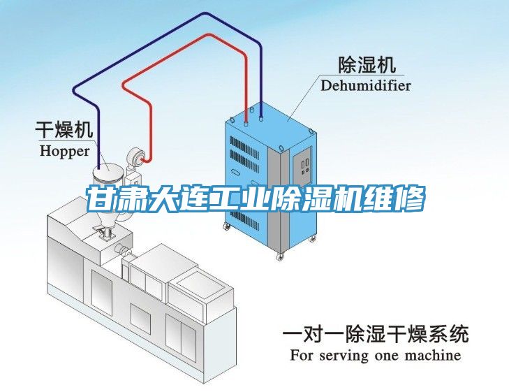 甘肅大連工業除濕機維修