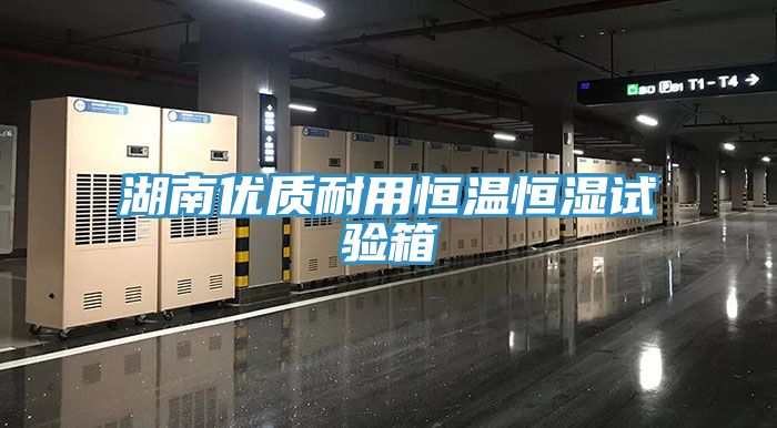 湖南優質耐用恒溫恒濕試驗箱