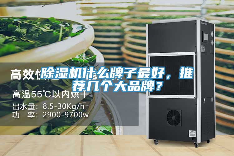 除濕機什么牌子最好，推薦幾個大品牌？