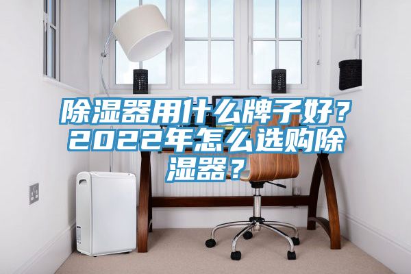 除濕器用什么牌子好？2022年怎么選購除濕器？