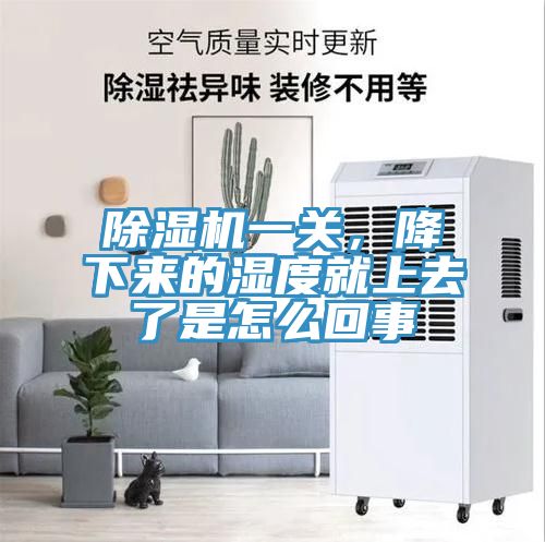 除濕機一關，降下來的濕度就上去了是怎么回事