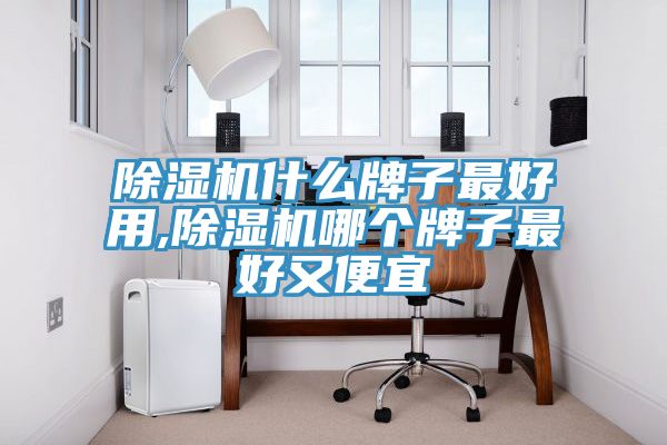 除濕機什么牌子最好用,除濕機哪個牌子最好又便宜