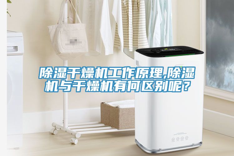 除濕干燥機工作原理,除濕機與干燥機有何區別呢？