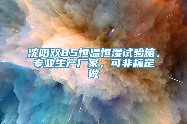 沈陽雙85恒溫恒濕試驗箱，專業生產廠家，可非標定做