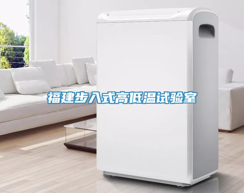 福建步入式高低溫試驗室