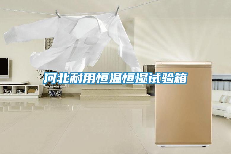 河北耐用恒溫恒濕試驗箱