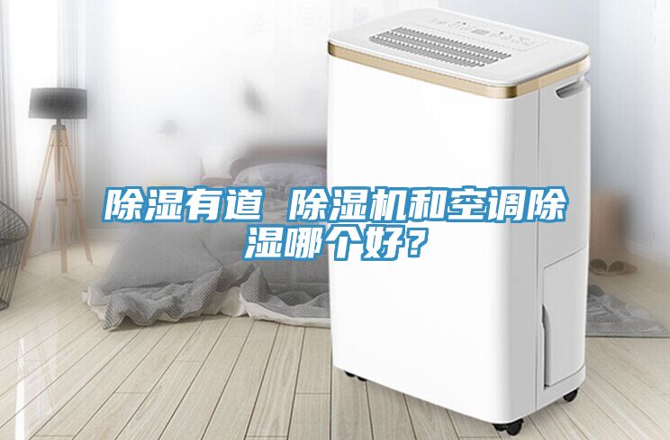 除濕有道 除濕機和空調除濕哪個好？