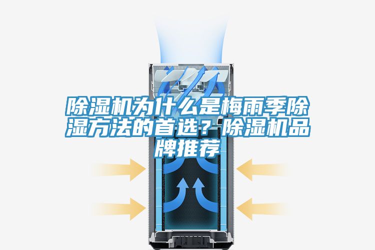 除濕機為什么是梅雨季除濕方法的首選？除濕機品牌推薦
