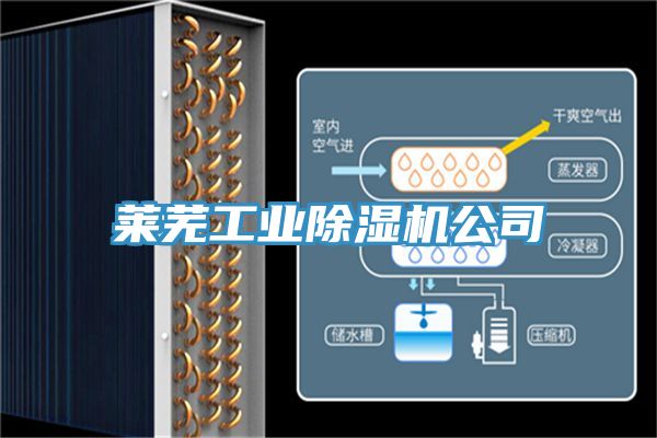 萊蕪工業除濕機公司