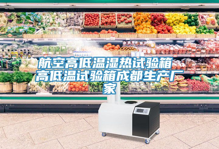 航空高低溫濕熱試驗箱 高低溫試驗箱成都生產廠家