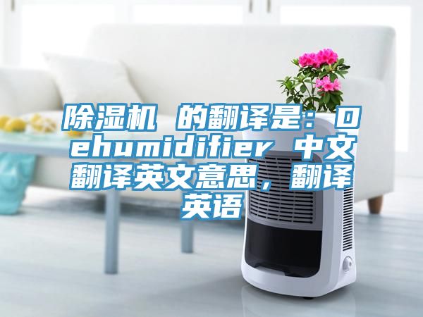 除濕機 的翻譯是：Dehumidifier 中文翻譯英文意思，翻譯英語