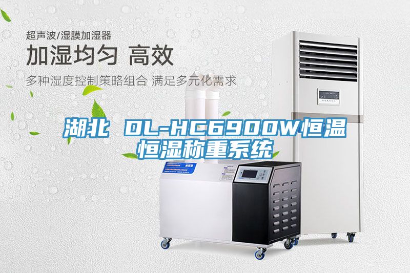 湖北 DL-HC6900W恒溫恒濕稱重系統