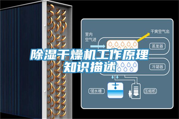 除濕干燥機工作原理知識描述